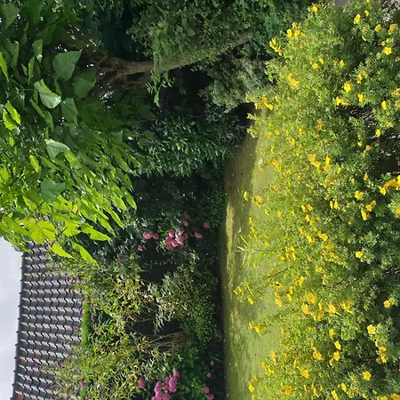 Holiday home Mit Privatem Garten Und Terrasse *